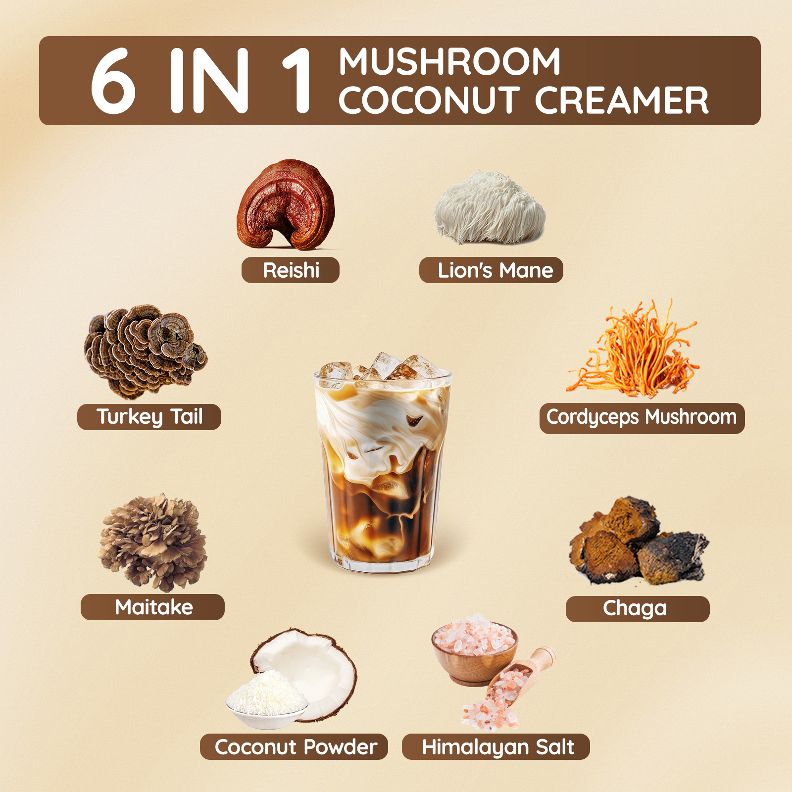 Mushroom Coconut Coffee Creamer, Sweet Flavor - Image 5