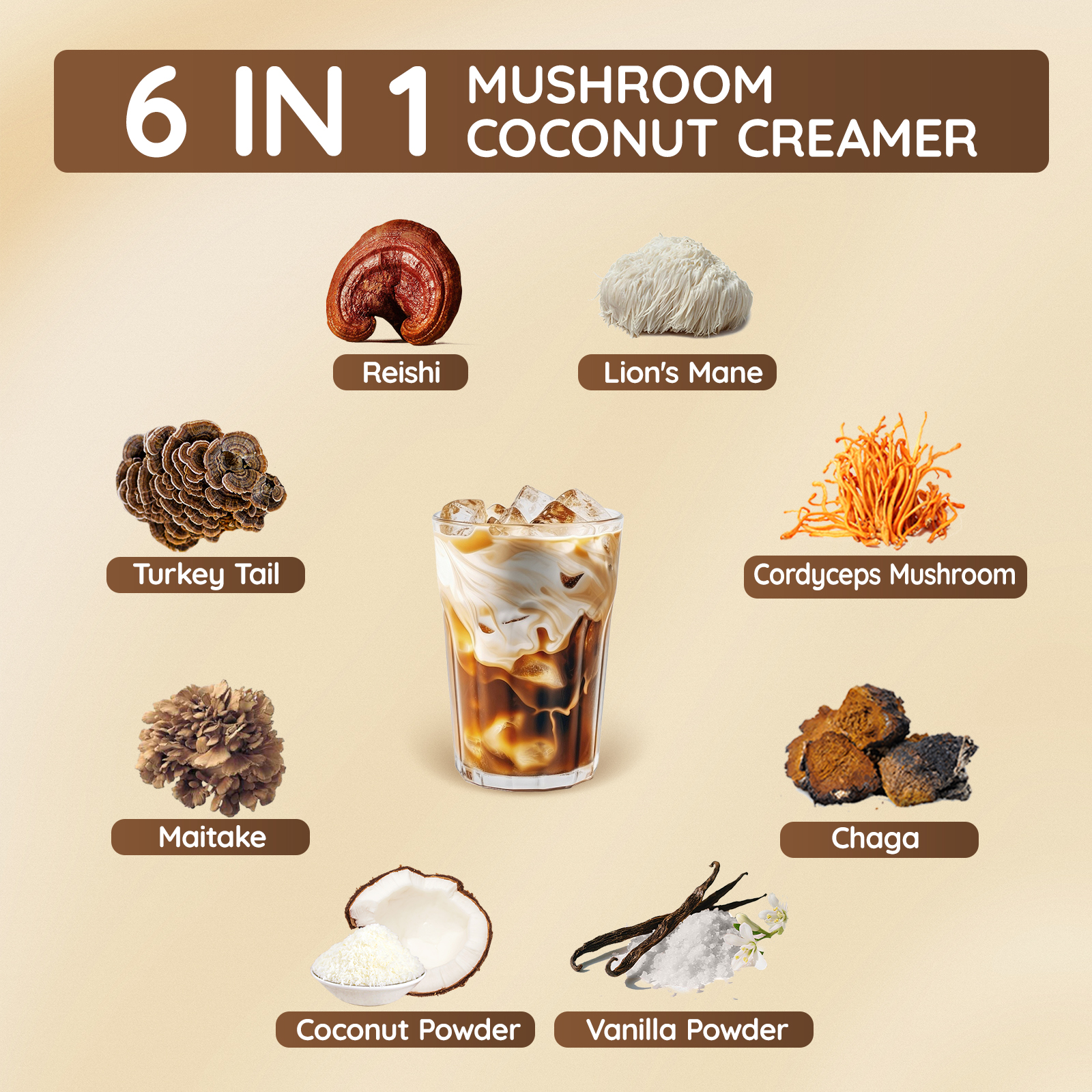 Mushroom Coconut Coffee Creamer, Coconut Flavor - Image 5