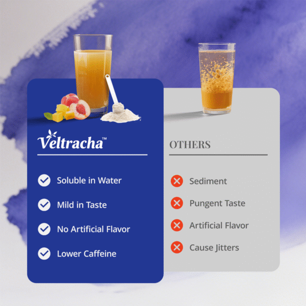 Yerba Mate Tea Powder,3in 1 Functional Blend Probiotic & Mushroom,11.6 oz (30 Servings), Peach Mango - Image 7